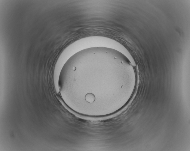 X0000110990327200907311015
