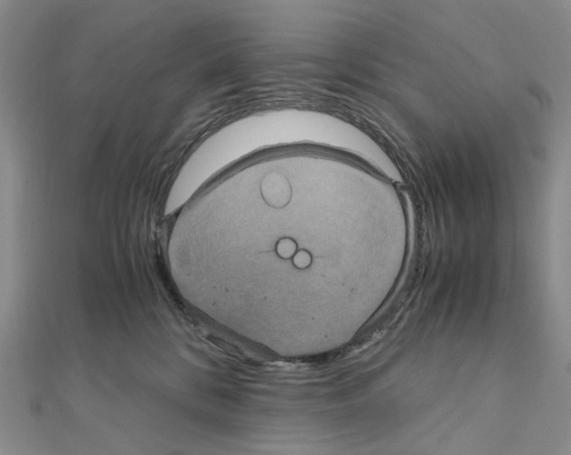 X0000110990328200907311015