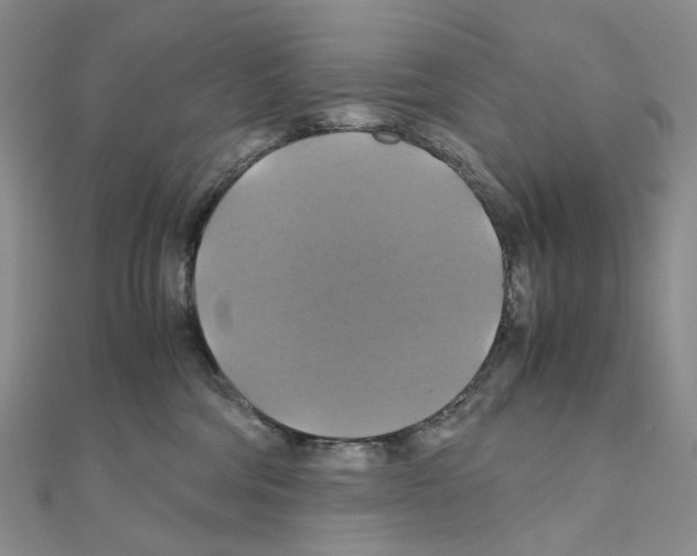 X0000110990330200907311015