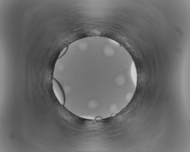 X0000110990331200907311015