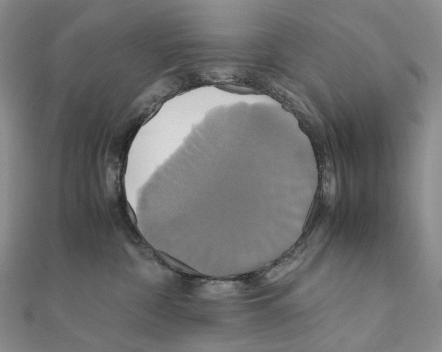 X0000110990332200907311015