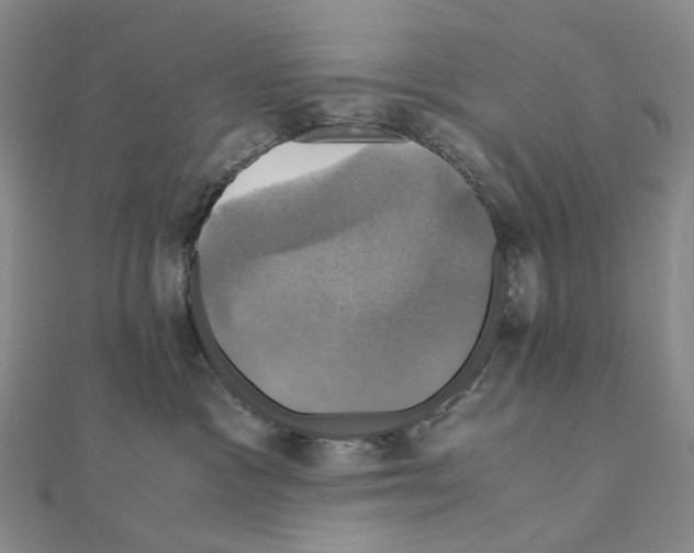 X0000110990333200907311015