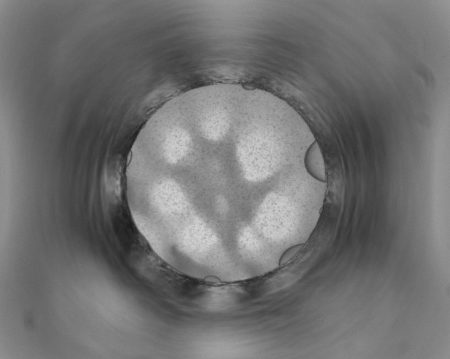 X0000110990334200907311015