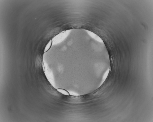 X0000110990335200907311015
