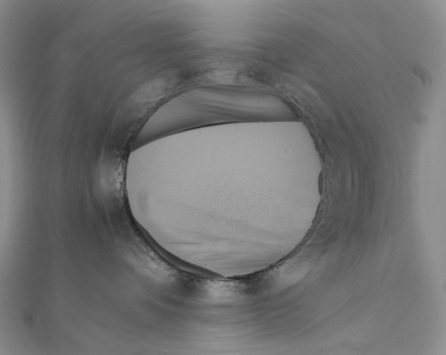 X0000110990336200907311015