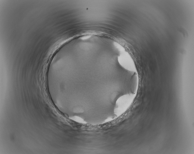 X0000110990337200907311014