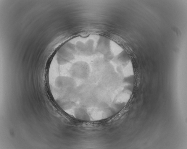 X0000110990338200907311014