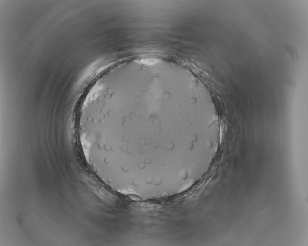 X0000110990339200907311014