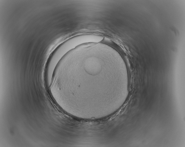 X0000110990340200907311014