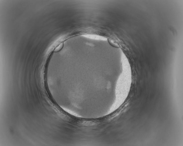 X0000110990341200907311014