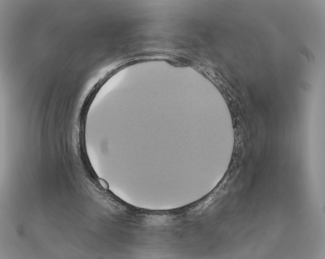 X0000110990342200907311014