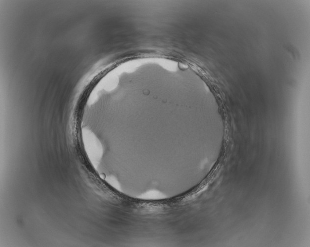 X0000110990343200907311014