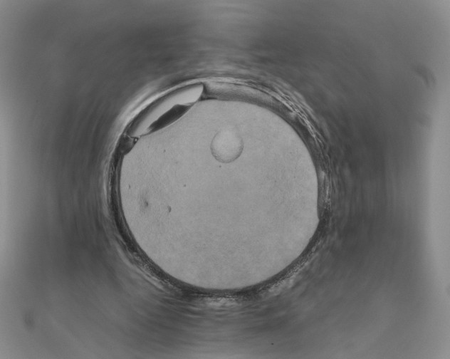 X0000110990344200907311014