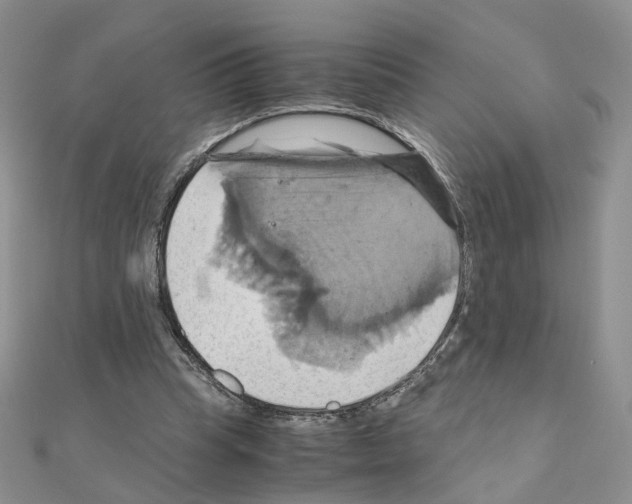 X0000110990345200907311014