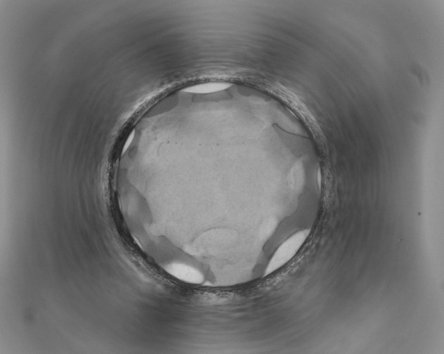 X0000110990346200907311014