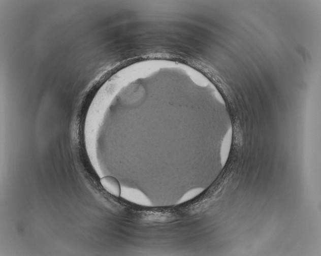 X0000110990347200907311014