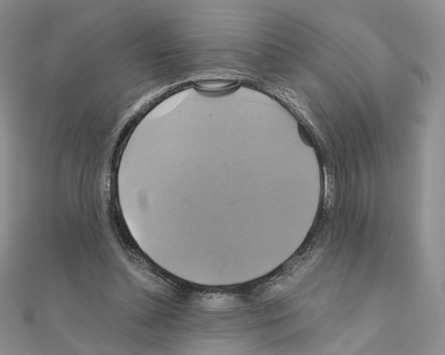 X0000110990348200907311014