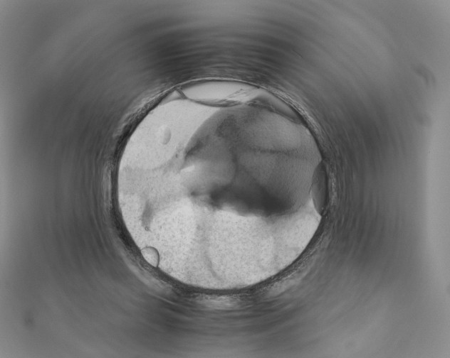 X0000110990349200907311014