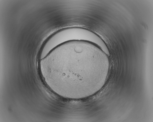X0000110990350200907311014