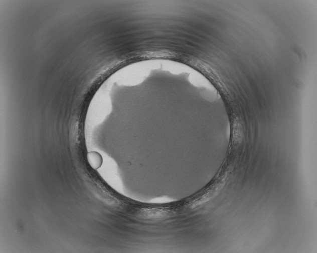 X0000110990351200907311014