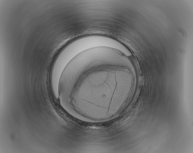 X0000110990352200907311015
