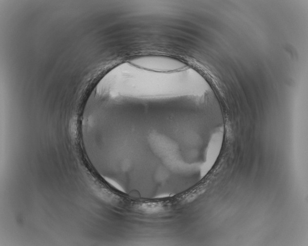 X0000110990353200907311015