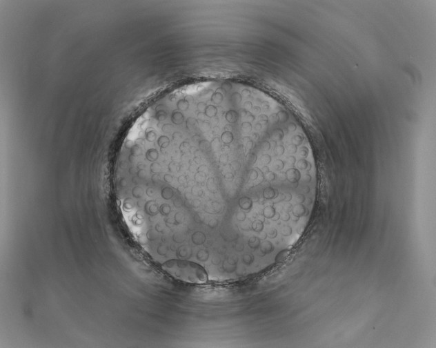 X0000110990354200907311015