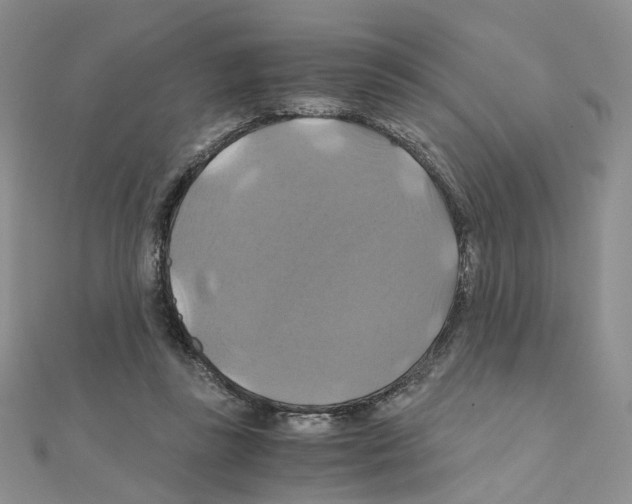X0000110990355200907311015