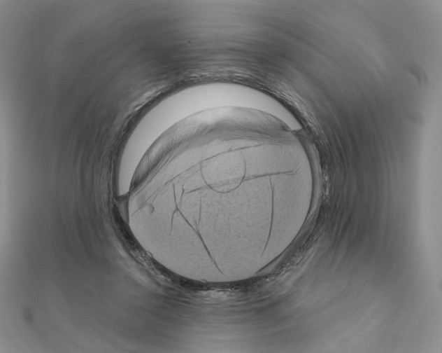 X0000110990356200907311015