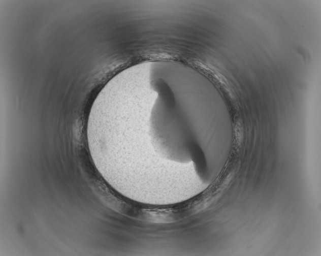 X0000110990359200907311015