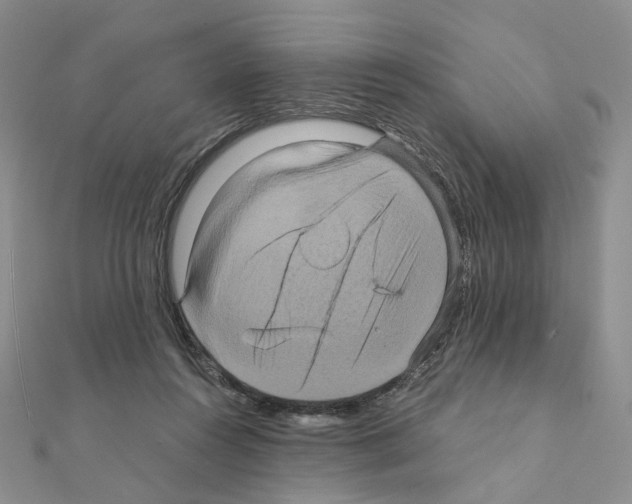 X0000110990360200907311015