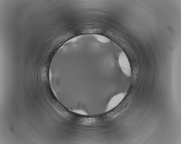 X0000110990361200907311015