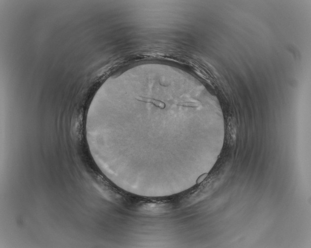X0000110990364200907311015