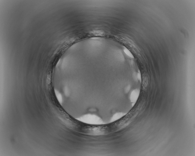 X0000110990365200907311015