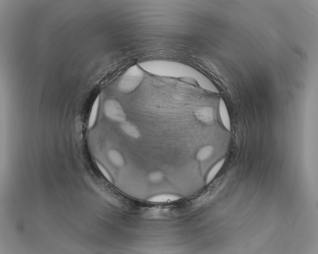 X0000110990366200907311015