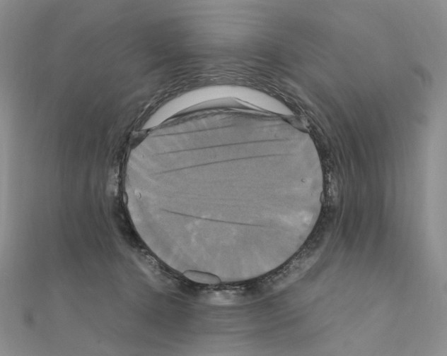 X0000110990368200907311015