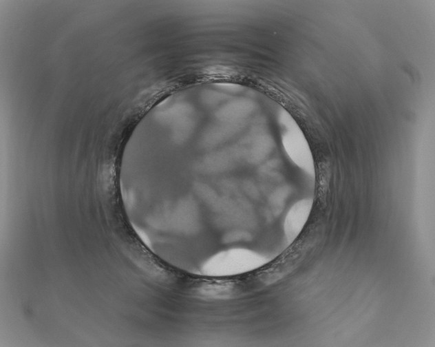 X0000110990369200907311015