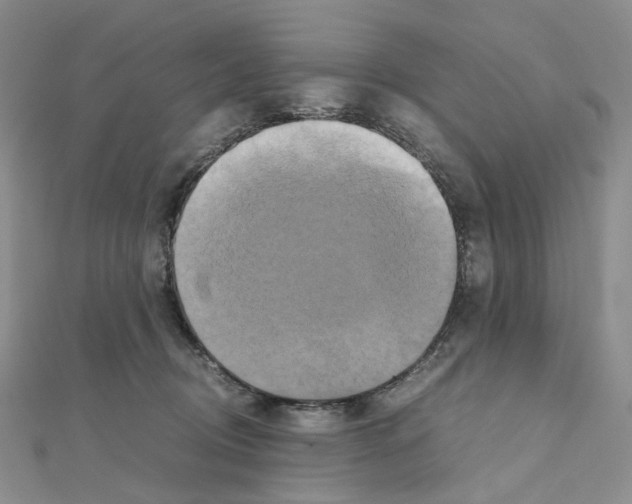 X0000110990370200907311015