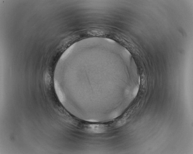X0000110990371200907311015