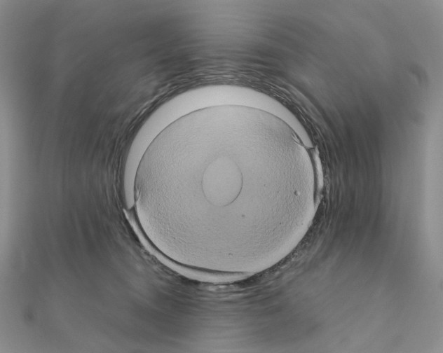 X0000110990372200907311015