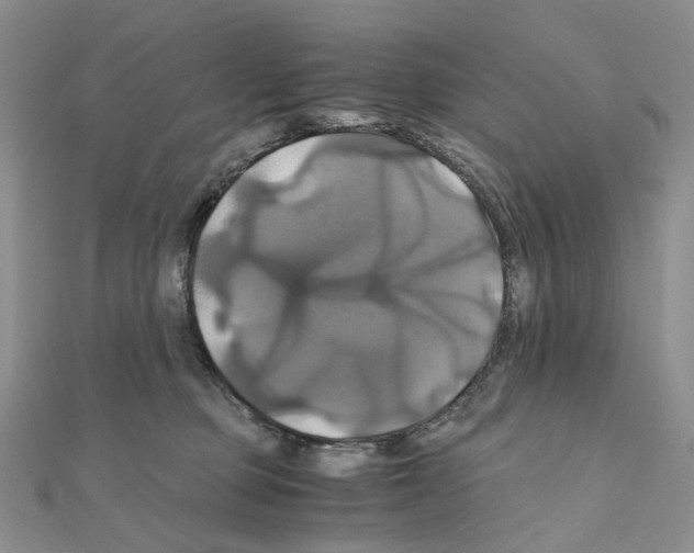 X0000110990373200907311015