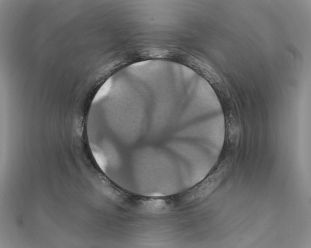 X0000110990374200907311015