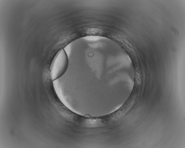 X0000110990375200907311015