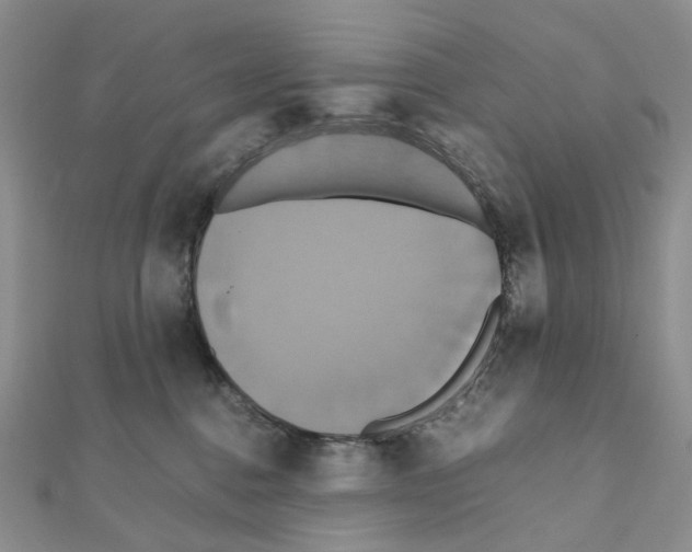 X0000110990376200907311015