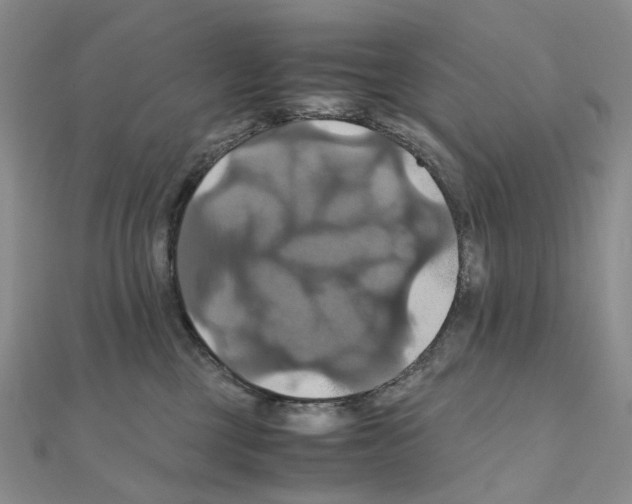 X0000110990377200907311015