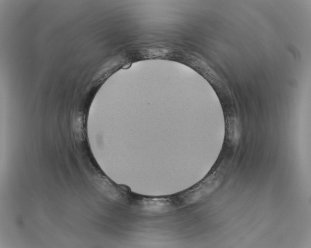X0000110990378200907311015