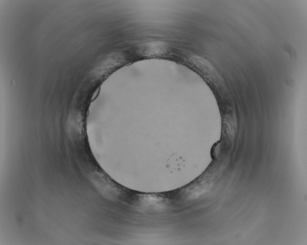 X0000110990380200907311015