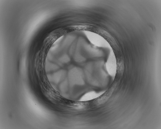 X0000110990381200907311015