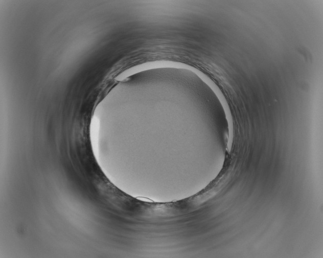 X0000110990382200907311015