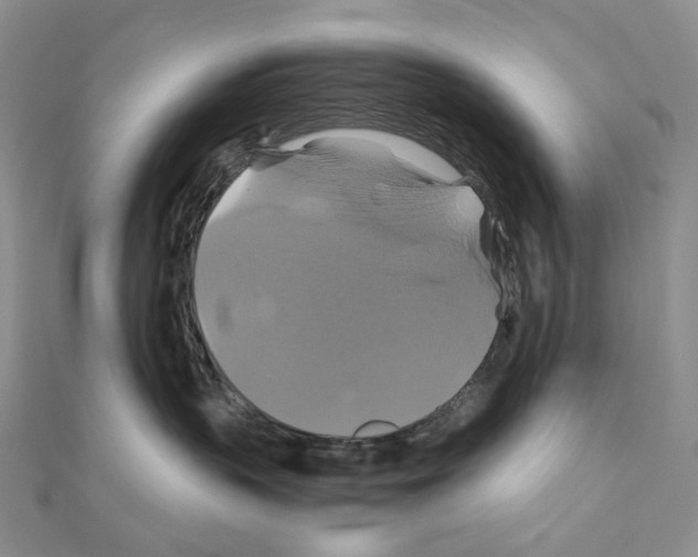 X0000110990383200907311015